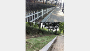 여의도공원 개장 20주년…2.9km 외벽 허물고 숲 속 바람길 조성