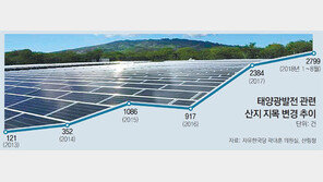 태양광 설치하면 ‘임야→잡종지’ 변경, 산림청 “땅값 크게 올라… 투기 막아야”