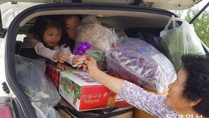 “이 꽃도 가지고 가렴”