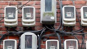 [고양이 눈]가을의 여유