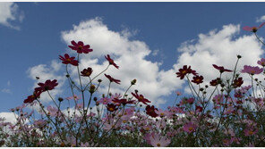 [날씨] 아침 기온 뚝…서울·광주 13도, 대구 12도 ‘쌀쌀’