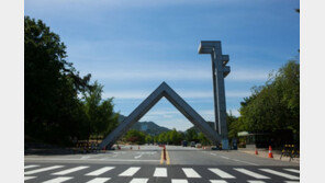 한국, 세계 200위 대학에 5개교 이름 올려…서울대·성균관대 등