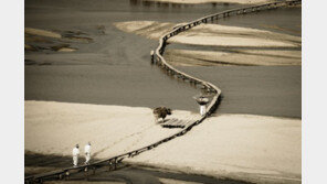 ‘한국의 아름다운 길’ 영주 무섬마을서 ‘외나무다리축제’ 10월5일 개최