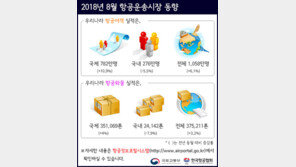 여름방학·휴가철 낀 8월 항공여객 1058명…역대최고 경신