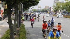 자전거 음주운전 처벌, 전 좌석 안전띠 의무화…새 도로교통법 시행