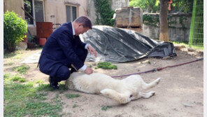 北-美 다녀온 文대통령, 27일 귀국 후 곧장 양산行…28일 연가