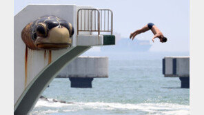 “송도 다이빙대, 대회용 아니었다”…당초 놀이시설로 설계