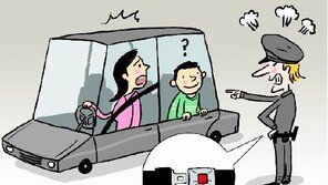 전 좌석 안전띠 의무화…뒷좌석 안전띠 안 매면 ‘중상확률 12배↑’