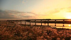 코레일, 추석연휴 292만명 열차 이용…전년 대비 12% 증가