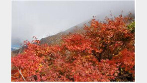 27일 설악산에 올해 첫 단풍…2주 후 절정 예상