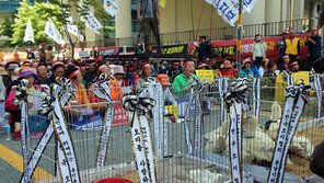  오리 농가,  농식품부앞 항의 집회… “사육제한 조치로 생계 위협”