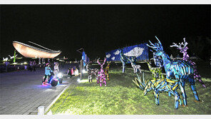 강정대구현대미술제 찾은 시민들