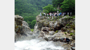 “강원도 평화지역으로 가을여행 떠나요”