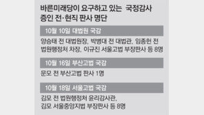 [단독]“日징용 손배소 담당 대법연구관, 정부입장 담긴 행정처 문건 받아”