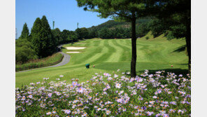 광활하고 세밀하고… 프로들도 반한 코스