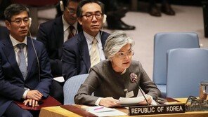 강경화, 안보리 이사국에 “한반도 비핵화 지지” 요청
