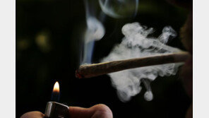 ‘여성인 척’ 함정수사에 마약 구매…법원 “그래도 유죄”