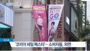 2018 코리아세일페스타 ‘속빈 강정’?…“살만한 건 죄다 정가” 불만 속출