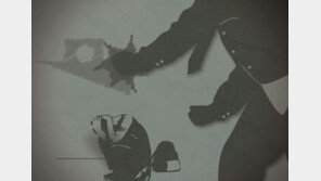 제천 투신 여고생 협박한 선배·동급생 6명 입건