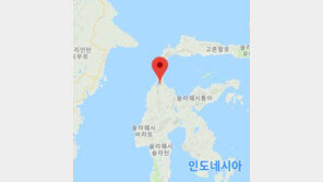 인도네시아서 규모 7.5 강진, 오늘만 5차례 지진…쓰나미 경보
