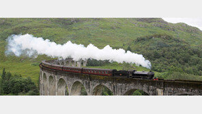 [책의 향기]느긋하면서도 팽팽한 英 ‘코지 미스터리’의 매력