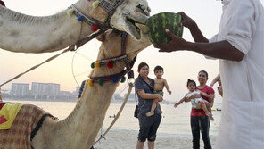 [고양이 눈]친구
