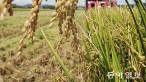 “한 가마니 35% 올라 18만원” vs “5년전 수준으로 제값 찾은것”