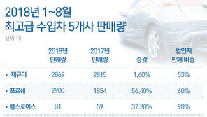 강남 아줌마차 렉서스에 싫증?…커지는 ‘슈퍼카 시장’