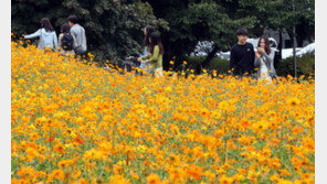 고기압 영향으로 다음주 맑은 날씨…기온 평년 수준