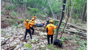 충북 괴산서 버섯채취 나선 80대, 11일 만에 숨진 채 발견