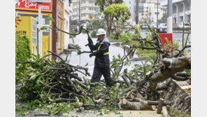 日열도, 태풍 ‘짜미’ 초비상 …수십만 가구 정전·간사이 공항 폐쇄