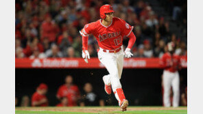 美 언론 “막판 급부상한 오타니, 신인왕 가능”