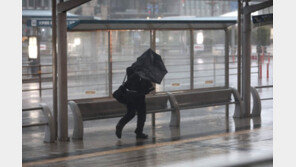 태풍 ‘제비’에 이어 ‘짜미’ 日 열도 강타…공항·철도 등 폐쇄