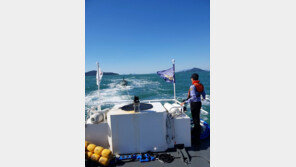 섬 펜션서 잠자다 지네에 팔 물린 50대…긴급 이송