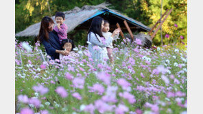 [날씨] 1일 서울 아침 12도…강한 바람에 체감온도 ‘뚝’