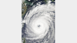 슈퍼태풍 ‘짜미’ 日열도 관통…도쿄서도 초속 40m 강풍