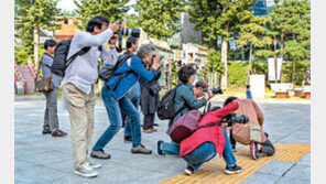 “사진 찍기, 1대1 맞춤 강의에 실력 쑥쑥” 동아사진강좌 제5기 수업