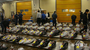 이사 가는 ‘도쿄의 부엌’… 그 많은 쥐는 어디로 가지?