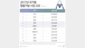 ‘못 말리는’ 韓 명품가방 사랑, ‘종주국’ 프랑스도 제쳤다…세계 4위