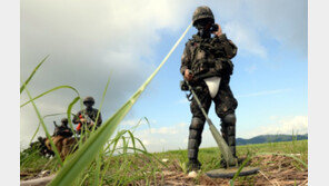 남북 군사분야 합의 첫발…최전방 ‘JSA·화살머리고지’ 지뢰제거 시작