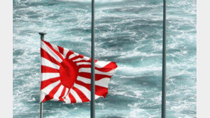 제주관함식 日함선 욱일기 논란…호사카 유지 “韓, 욱일기 금지법 제정해야”