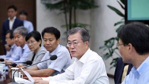 文대통령, 김구 선생 초상·친필 감상…수보회의 발언생략