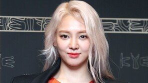 효연, 인도네시아 지진-쓰나미 피해자 위로 “기도합시다”