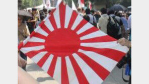 박주민 “욱일기, 일제 강점 피해국엔 전쟁범죄의 상징…日 반성해야” 
