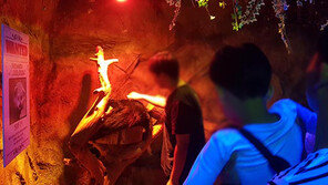 “야생동물들을 울타리도 없이…” 실내 동물원 안전 관리 실태