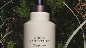 신세계인터 화장품 ‘연작’ 출시