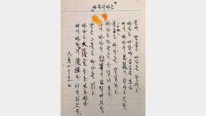 이육사 시인 친필 원고-지청천 장군 일기, 문화재 된다