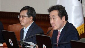 이낙연 총리, 2일 국무회의 주재…가짜뉴스 실태·대책 언급할듯
