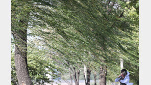 [날씨] 강풍에 체감온도 크게 떨어져…환절기 건강 ‘조심’