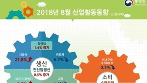 5개월째 경기둔화 ‘신호’ 지속…설비투자 IMF 이후 최장↓